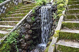 级联,森林,buçaco