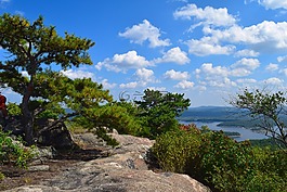 山景,湖,树