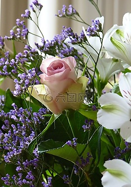 玫瑰,花束,摄影