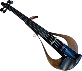 电子小提琴,仪器,音乐