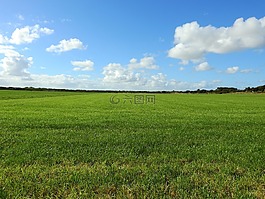 草地,天空,云