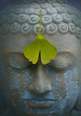 佛,禅宗,冥想