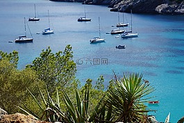 伊维萨,预订,船