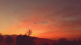 晚上,日落,景观