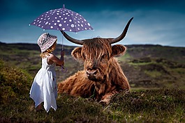 儿童,牛,伞