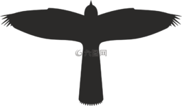 鹞,鸟,猎物