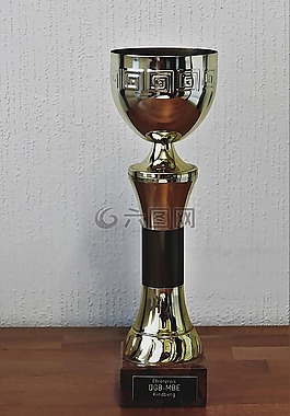杯,锦标,奖