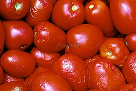 蔬菜,番茄,饮食