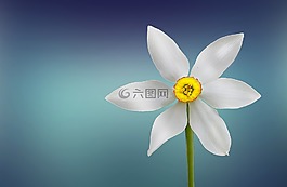 花,美丽,美
