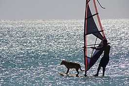 冲浪,体育,水上运动