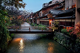 京都,秋季,秋季树叶