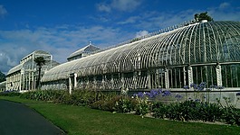 温室,植物园,都柏林