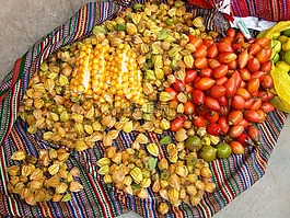 biodiversidad,卡哈马卡,秘鲁