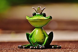 青蛙,青蛙王子,冠