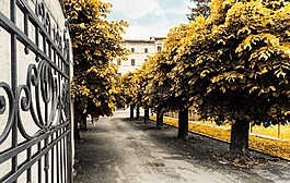 基本校园,学校,庭院