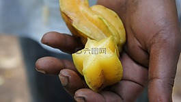 杨桃,非洲,水果