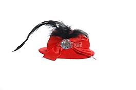 女士,时尚,女人