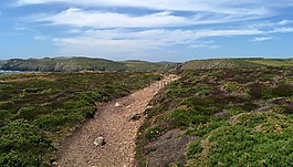 路径,海岸,希瑟