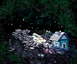 森林精灵,山寨,幻想