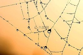 珠绣,蜘蛛网,蛛网