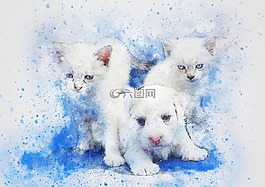 狗,猫,宠物