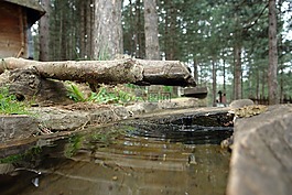 水,下降,村