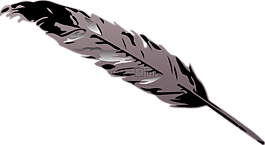 羽毛,灰色,设计