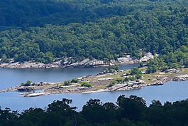 山景,湖,树