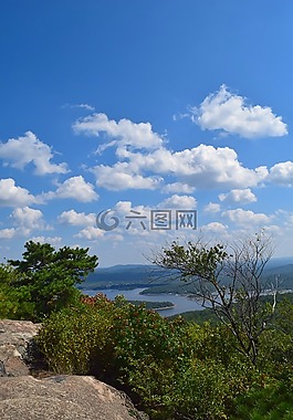山景,湖,树