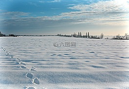 冬季,雪域景观,性质