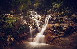 大瀑布,丛林,旅行