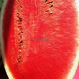 西瓜,瓜,无籽
