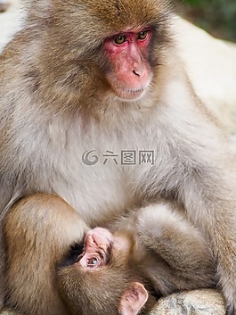没有什么,虚无缥缈,无