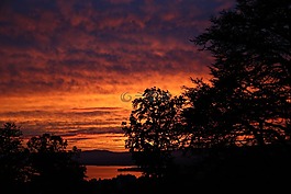 洛桑,瑞士,旅游