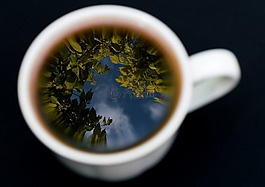 马克杯,杯,茶杯