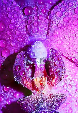 雨后,艺术,背景