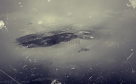 后期,合成,幻想