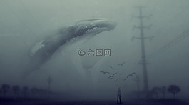 后期,合成,贵阳