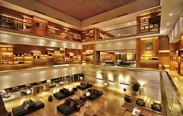 酒店,大堂,现代