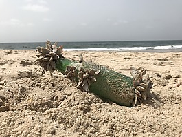 海滩,海,瓶中信