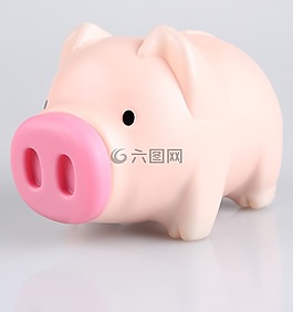 猪,存钱罐,钱斌