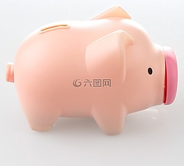 猪,存钱罐,钱斌