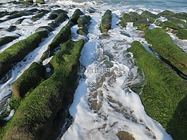 sence,sea,coastal