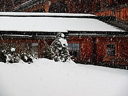 雪,下雪,冬天