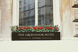 酒店,格罗夫纳酒店,维多利亚