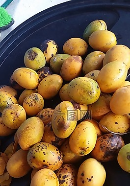 芒果,水果,漫画