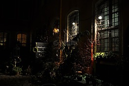 后院,霍夫,夜