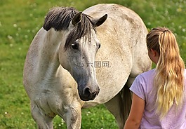 女孩,对动物的爱,马