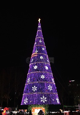圣诞,夜景,树