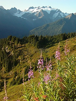 奥林匹斯山,奥山,景观